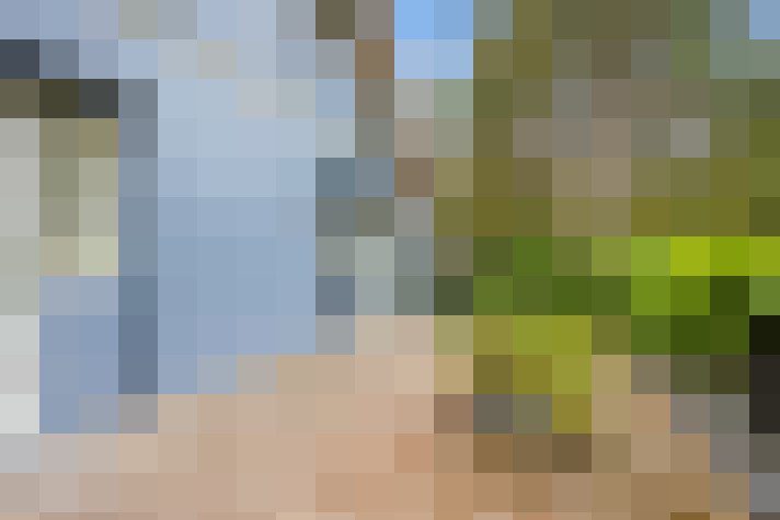 Image 47