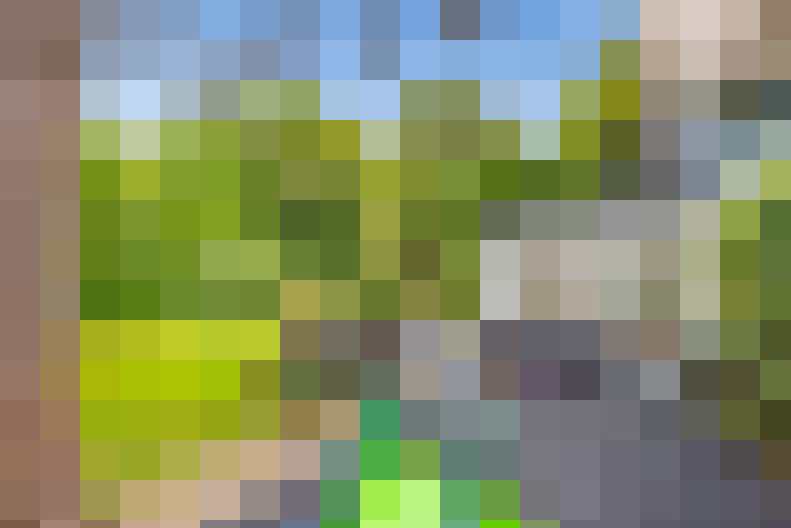Image 71