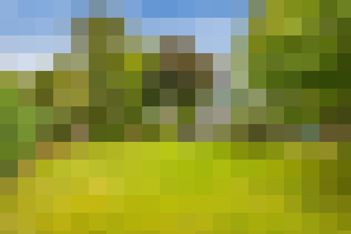 Image 76