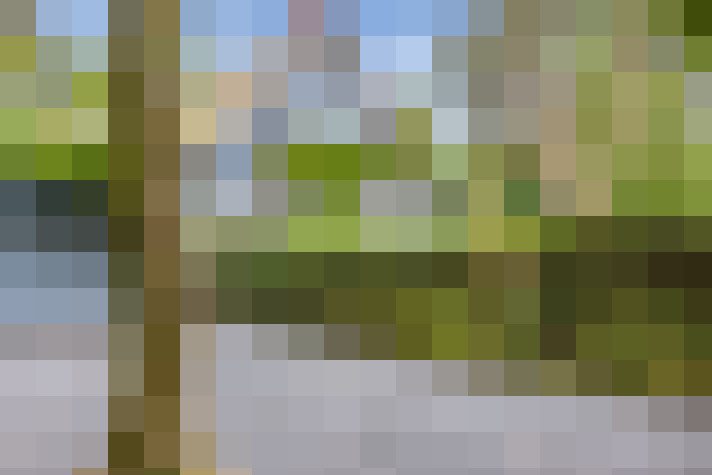 Image 79