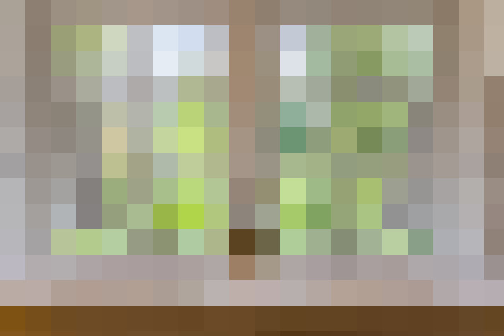 Image 58