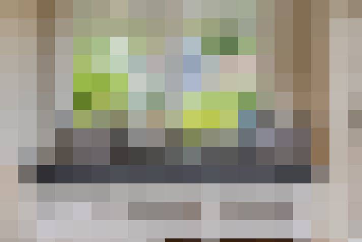 Image 20