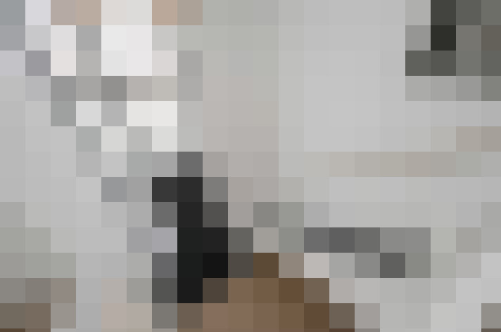 Image 20