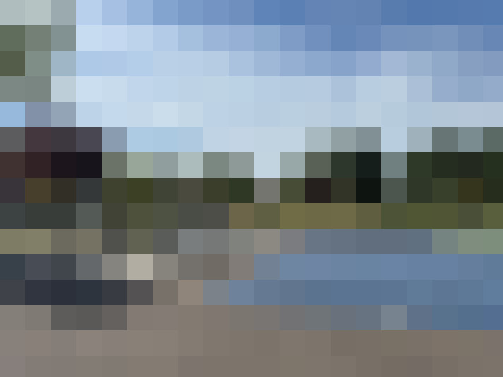 Image 31