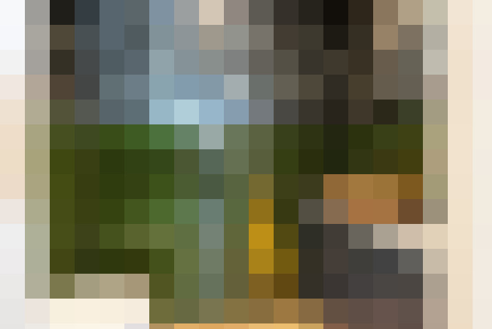 Image 31