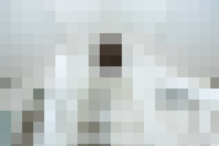 Image 29