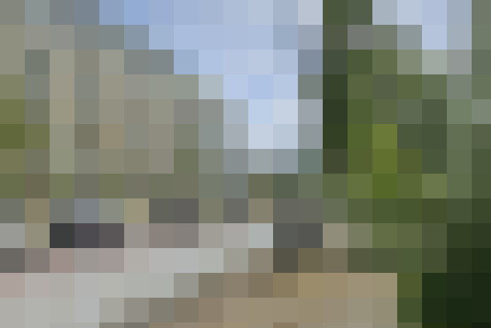 Image 24