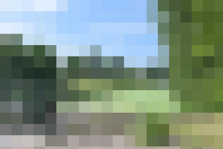 Image 22