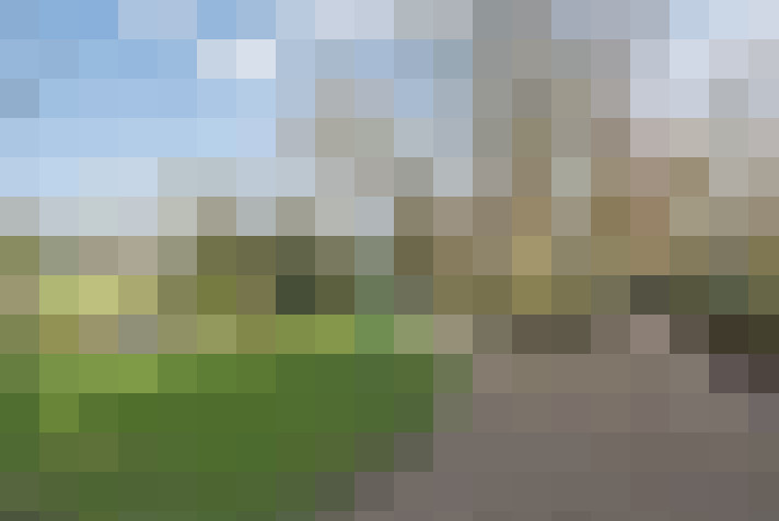 Image 26