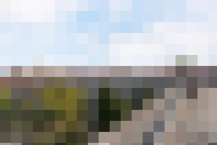 Image 22