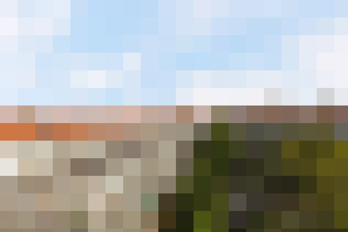 Image 20
