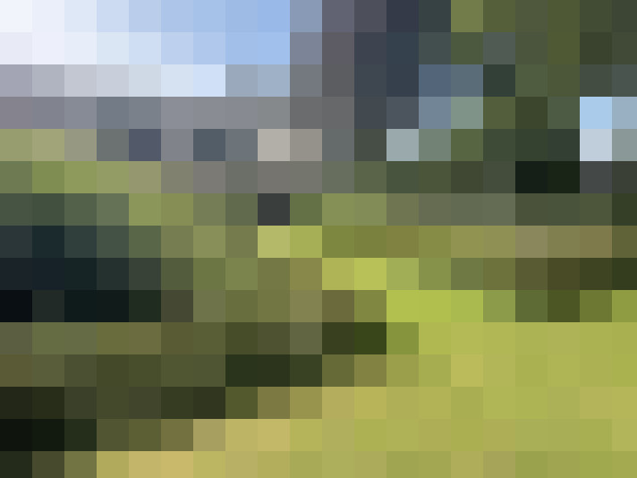 Image 13