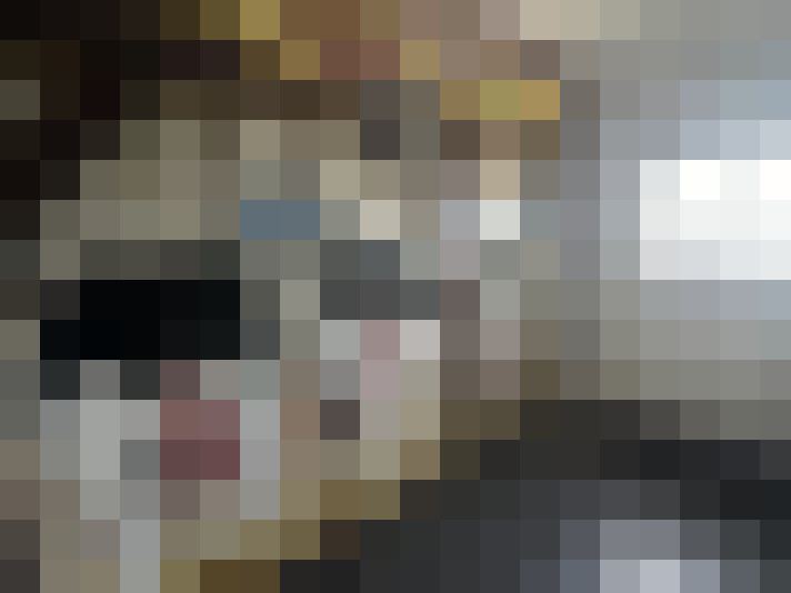 Image 20