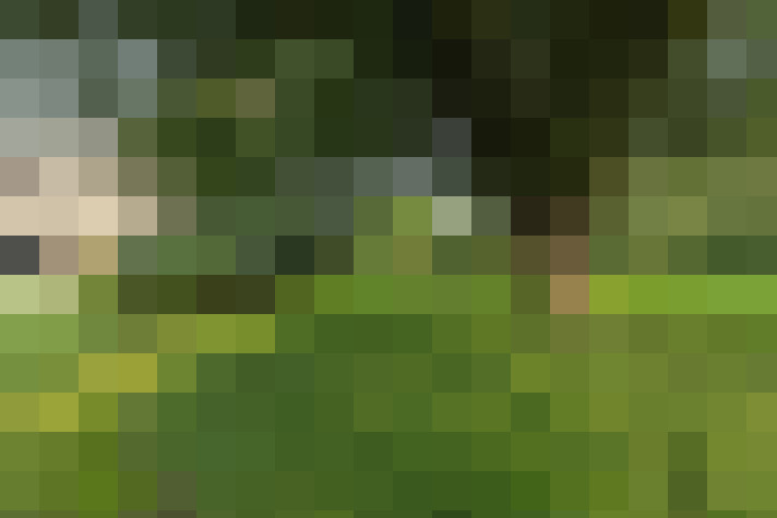 Image 29