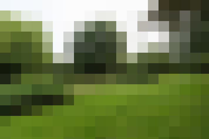 Image 31