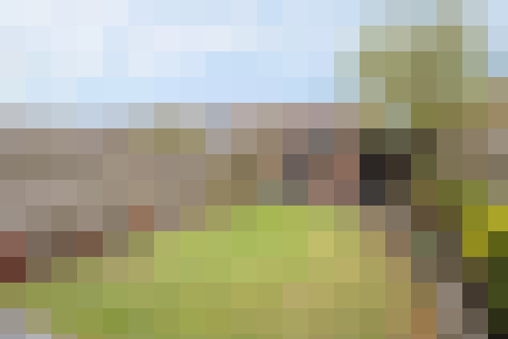 Image 17