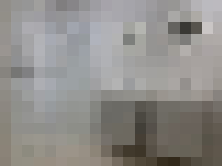 Image 30