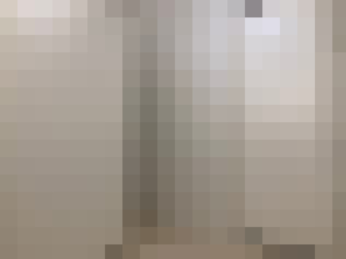 Image 31