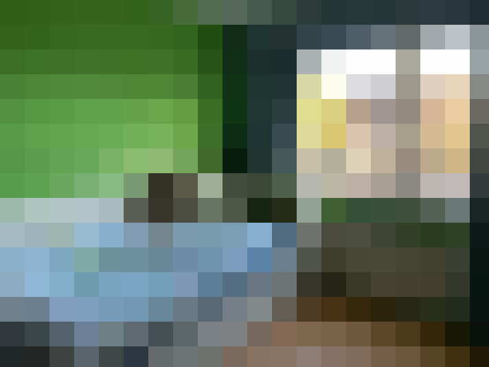 Image 13