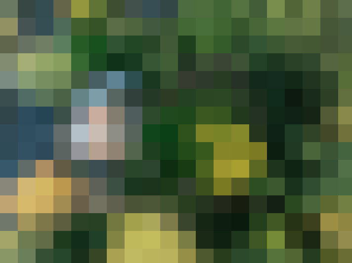 Image 21