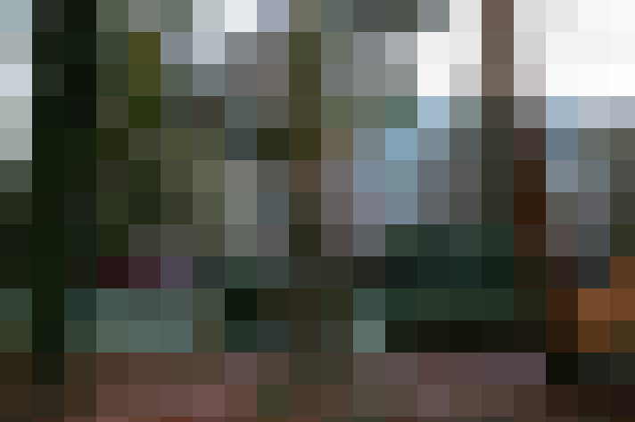 Image 46