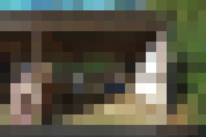 Image 33