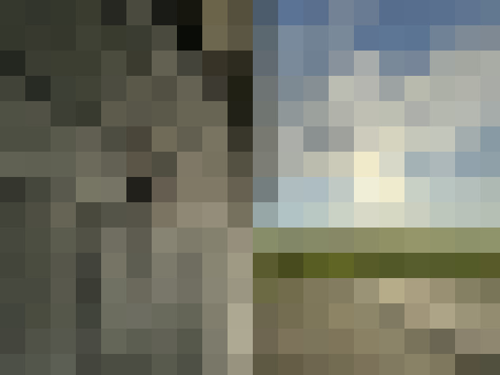 Image 35