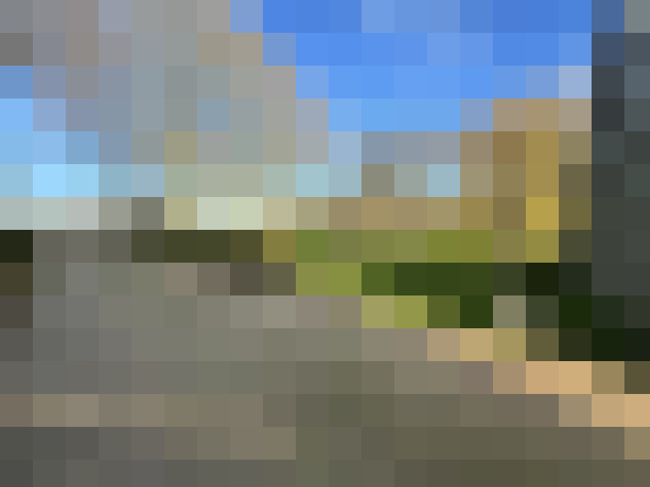 Image 33