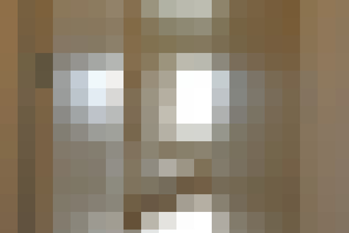 Image 29
