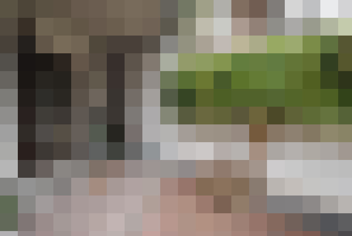 Image 29