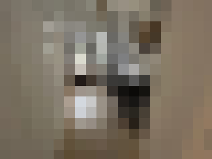 Image 13