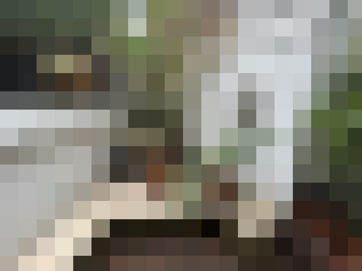 Image 36