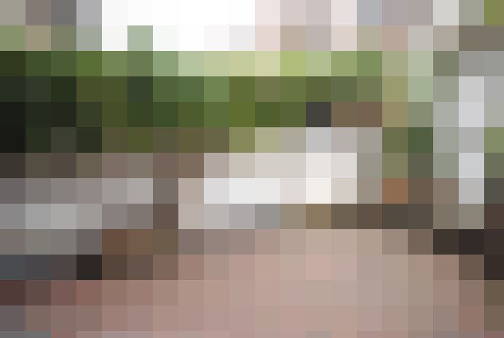 Image 31