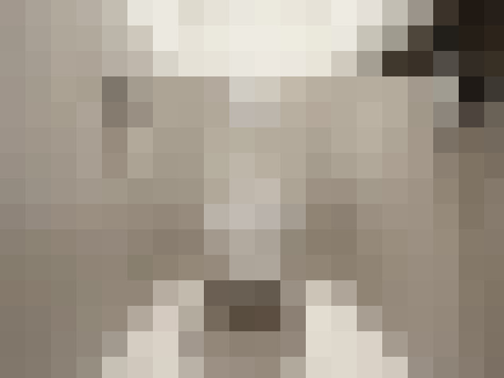 Image 29