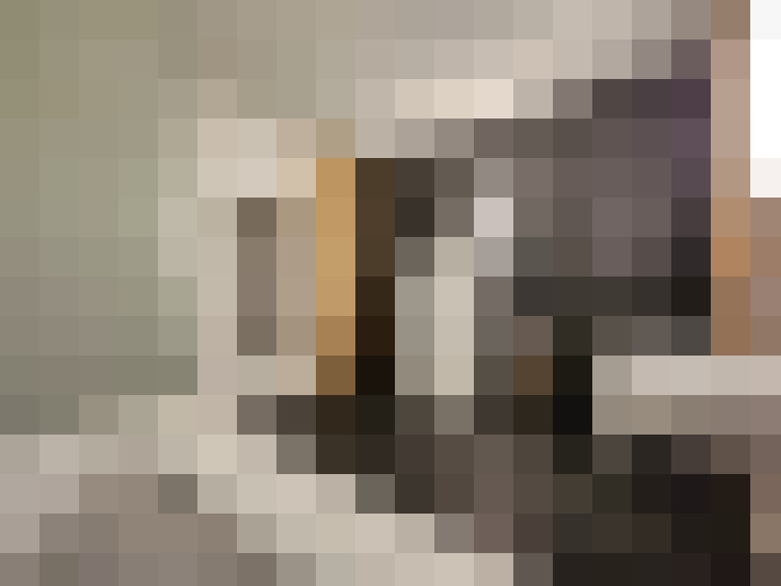 Image 22