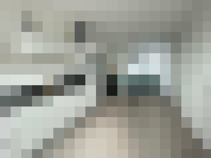 Image 22