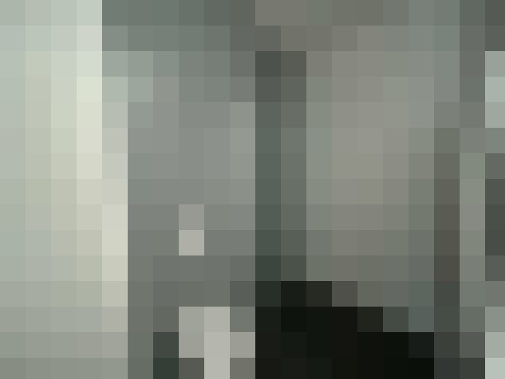 Image 14