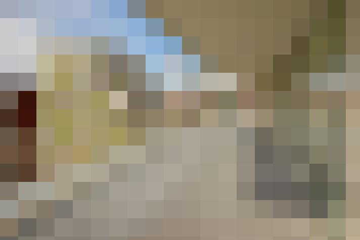 Image 15