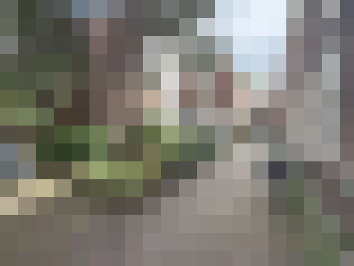Image 16