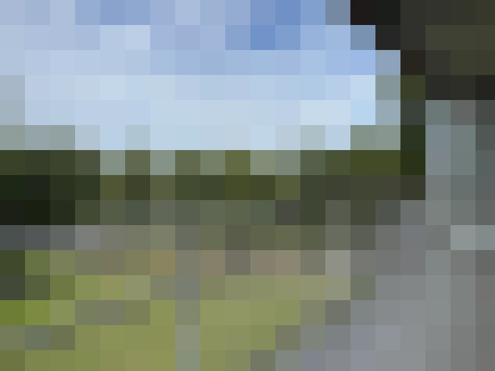 Image 24