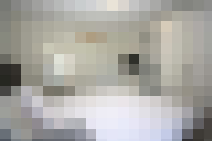  / #14