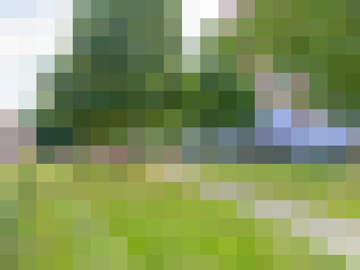 Image 36