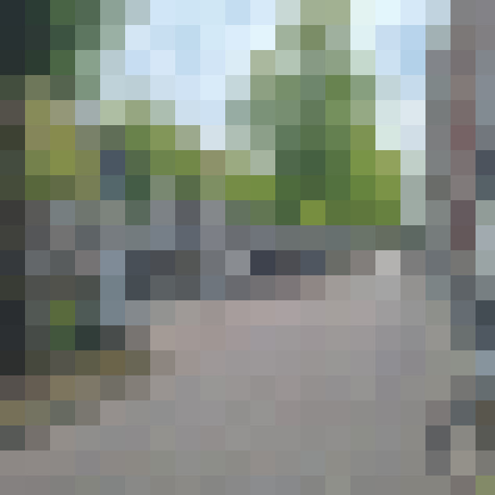 Image 19