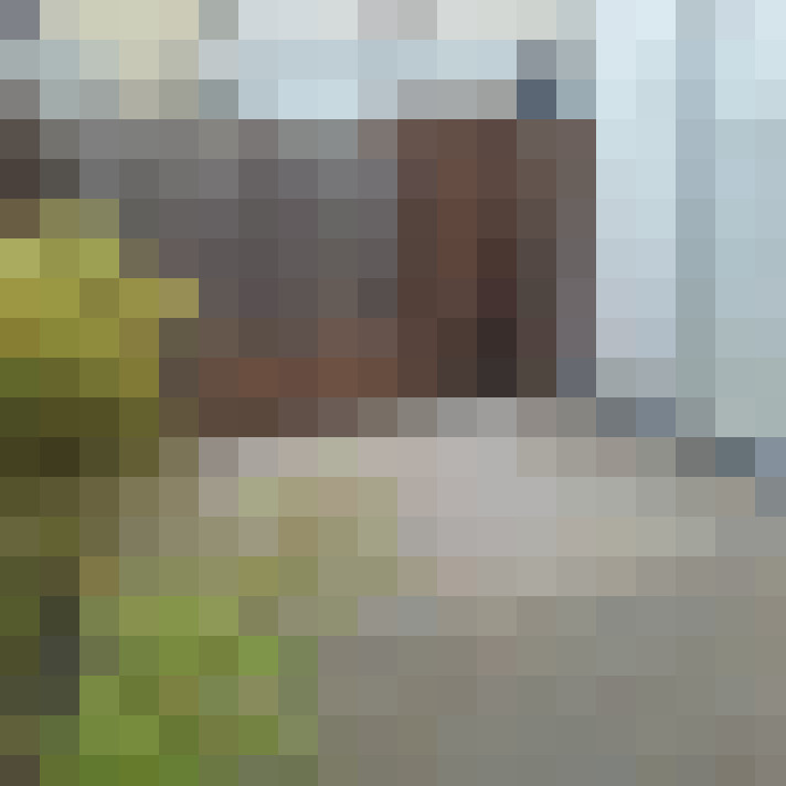 Image 15