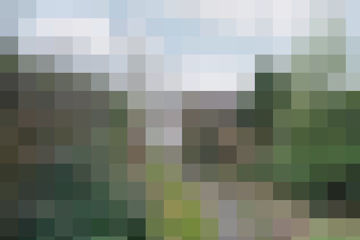 Image 20