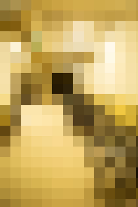 Image 28