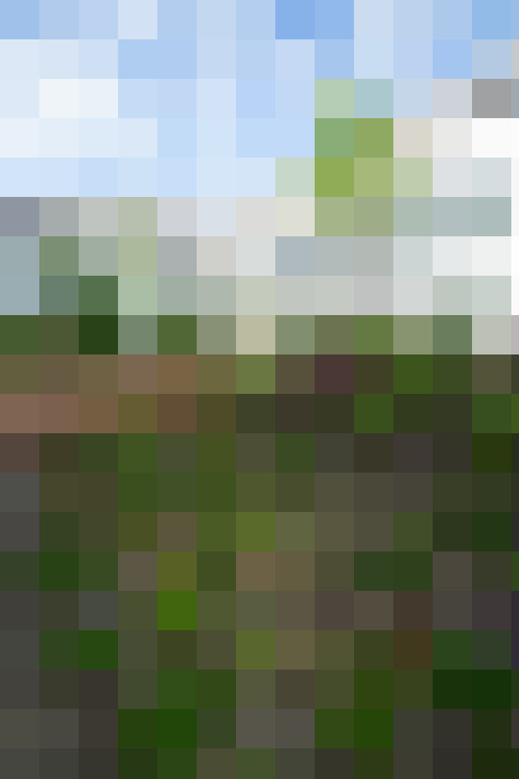 Image 25