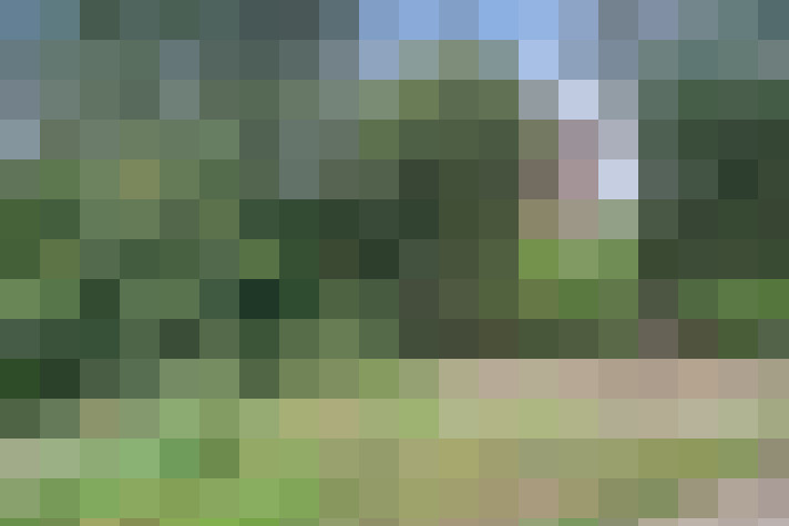 Image 23