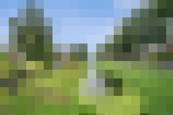 Image 22