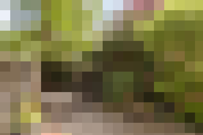 Image 13